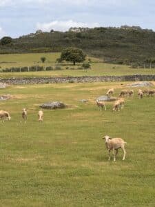 IMG_6743 en tamaño grande