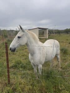 Alumnos de 1º ESO del colegio Filipense Blanca de Castilla de inmersión lingüística