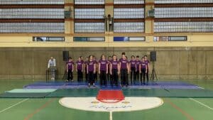 XVI muestra de acrosport del Colegio Filipense Blanca de Castilla de Palencia